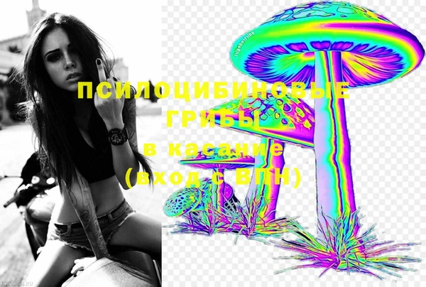 ECSTASY Волосово